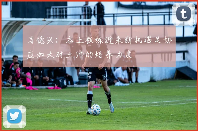 马德兴：本土教练迎来新机遇足协应加大对土帅的培养力度