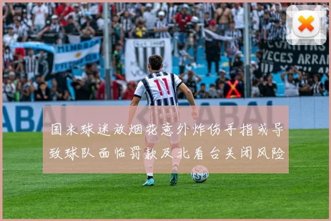 国米球迷放烟花意外炸伤手指或导致球队面临罚款及北看台关闭风险