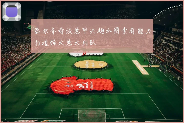 泰尔齐奇谈意甲兴趣加图索有能力打造强大意大利队