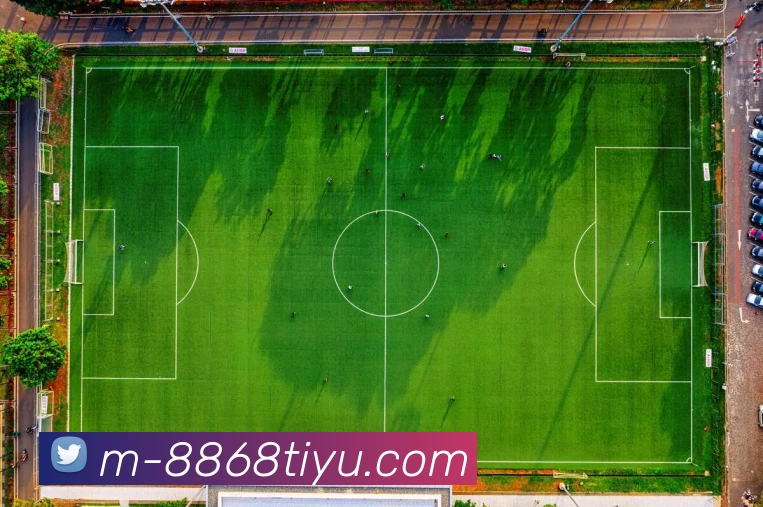 8868体育服务体系