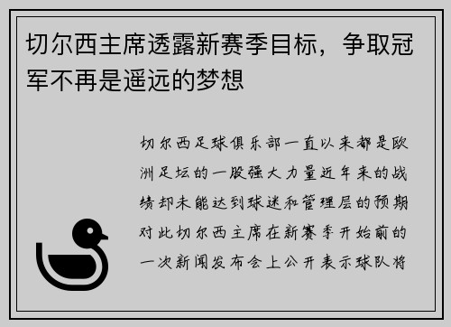 切尔西主席透露新赛季目标，争取冠军不再是遥远的梦想